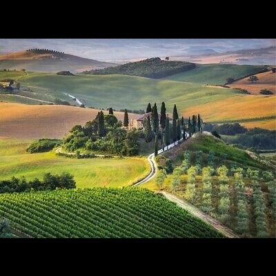 Paisagem rural com colinas, árvores e casa