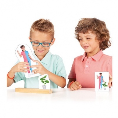 Crianças a jogar dominós com imagens de pessoas e plantas