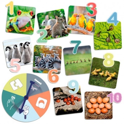 Números coloridos com fotos de diferentes animais e ovos numa imagem educativa.