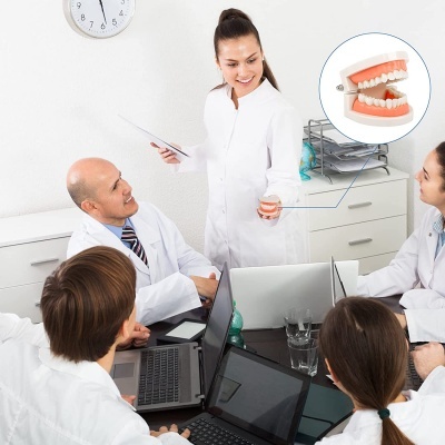 Profissionais de saúde em reunião com modelo de maxilar dentado