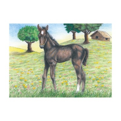 Desenho colorido de potro castanho num campo florido com árvores e cabana.
