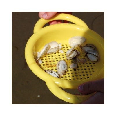 Coador amarelo de plástico com pedaços de conchas