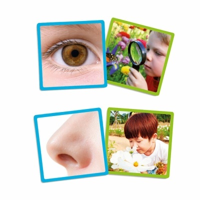 Collage com close-ups de olho e nariz e crianças a observar natureza com lupa