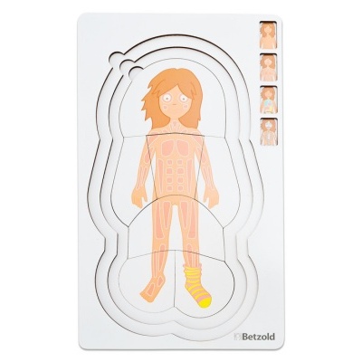 Puzzle de corpo humano em madeira com ilustrações de músculos e ossos