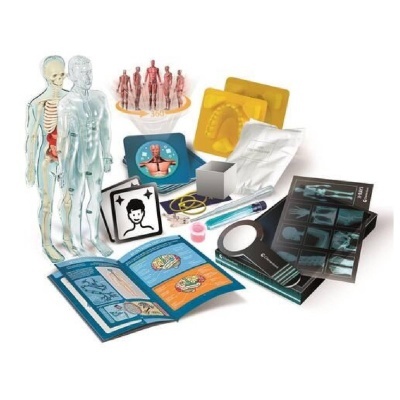 modelos anatómicos, cartas, ferramentas e livro educativo de anatomia