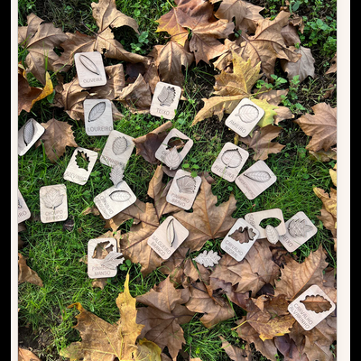 Cartas de madeira com nomes e desenhos de folhas sobre relva e folhas secas