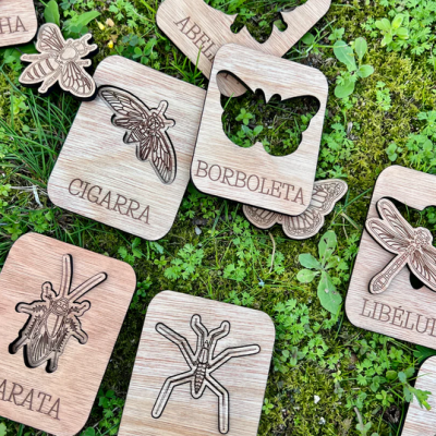 Placas educativas de madeira com recortes e nomes de insetos sobre relva verde
