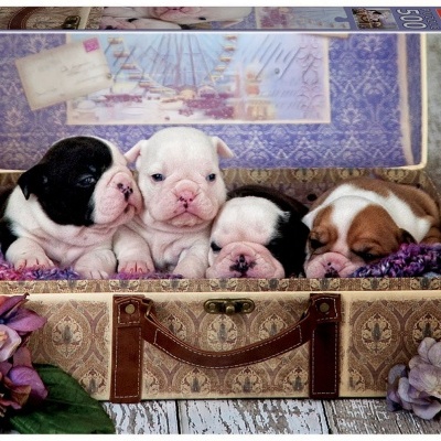 Caixa de puzzle com imagem de quatro cachorros em mala decorativa