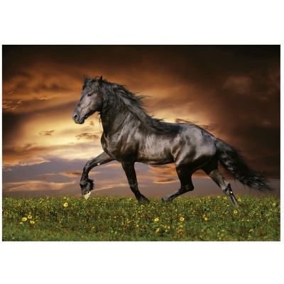 Quadro decorativo de cavalo preto a correr num campo verde com flores amarelas e céu dramático
