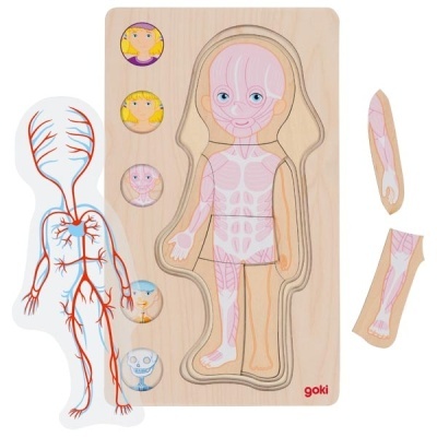 Puzzle educativo de anatomia humana em madeira com sistemas muscular e circulatório.