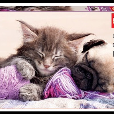 Caixa de puzzle Educa com imagem de gatinho e cão pug a dormir com novelos de lã lilás