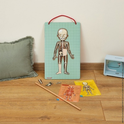 Painel educativo esqueleto e cartas coloridas com vareta de madeira