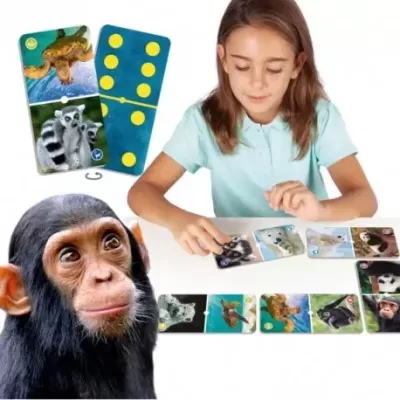 Criança a jogar jogo de cartas com animais selvagens sobre mesa branca