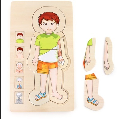 Quebra-cabeças madeira criança partes do corpo com peças destacadas