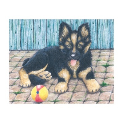 Desenho de cachorro pastor alemão deitado com bola colorida ao lado e cerca azul ao fundo