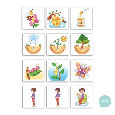 Ilustrações do ciclo da vida da abelha, crescimento de árvore, lagarta, borboleta e mulher grávida.