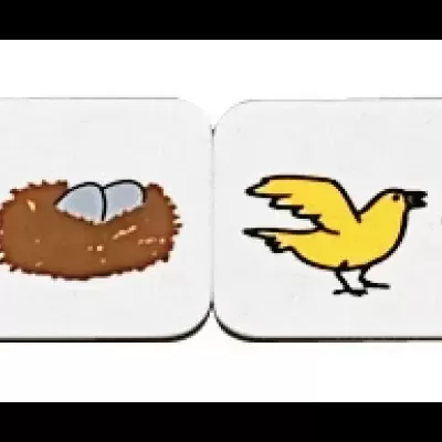 Seis blocos com desenhos coloridos em pares visuais simples.