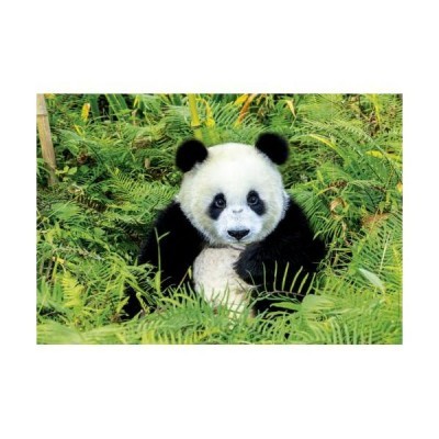 Panda gigante sentado entre folhagem verde