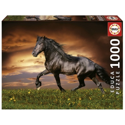 Embalagem de puzzle EDUCA 1000 peças com imagem de cavalo preto num campo ao pôr do sol