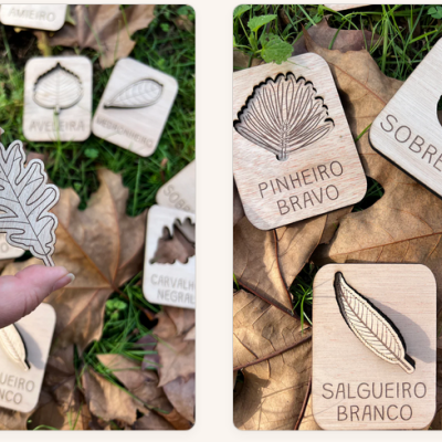 Peças de madeira com gravuras de folhas e nomes de árvores em português sobre folhas secas e relva