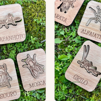 Peças de madeira com desenhos de insetos gravados e nomes em português