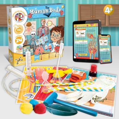 Jogo educativo Human Body para crianças com peças coloridas e ilustrações anatómicas.