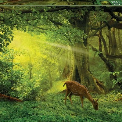 Caixa de puzzle EDUCA 500 peças com imagem de veado num bosque iluminado