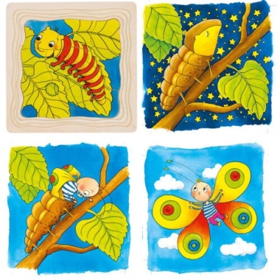 Ilustrações coloridas da transformação de uma lagarta em borboleta em quatro quadros distintos