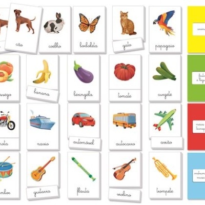 Cartões educativos ilustrados com animais, frutas, veículos e instrumentos musicais em português.