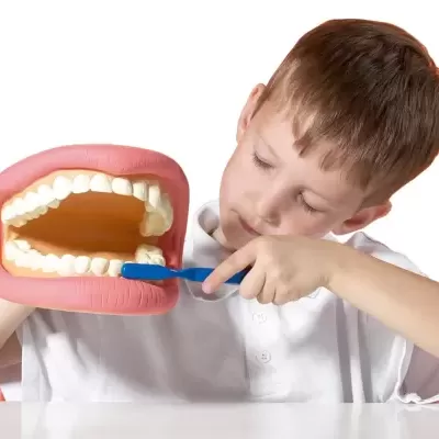 Menino a escovar um modelo gigante de boca com dentes