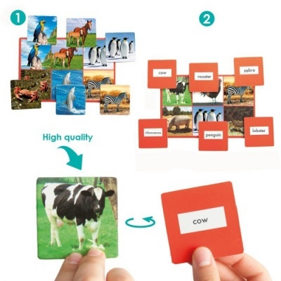 Cartas educativas de animais com imagens e palavras em inglês em fundo branco.