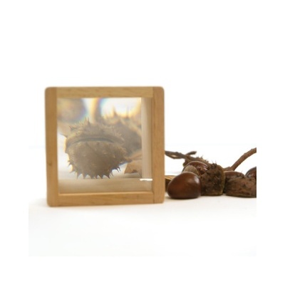 Lupa quadrada com moldura de madeira e castanhas espinhosas ao lado