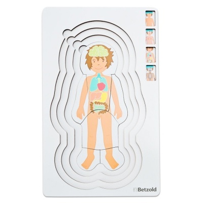 Puzzle de corpo humano com camadas ilustrando órgãos e esqueleto