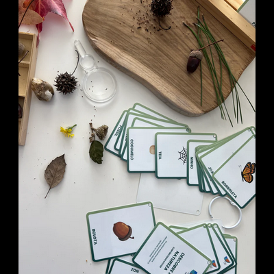 Cartas educativas de elementos naturais sobre mesa com folhas secas e tabuleiro de madeira