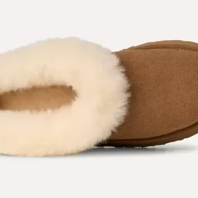 Chinelo castanho com pele branca visto de cima