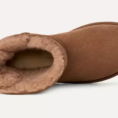 Bota castanha de inverno vista de cima com interior peludo