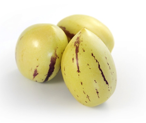 PÊRA MELÃO Frutos pepino melão amarelos com riscas castanhas
