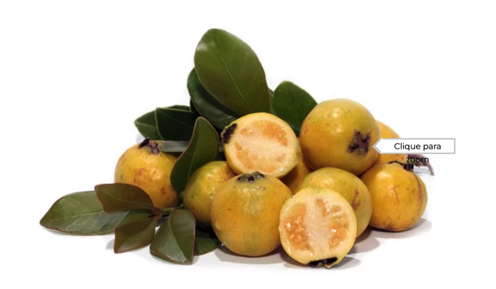 ARAÇÁ AMARELO Frutos amarelos com folhas verdes sobre fundo branco