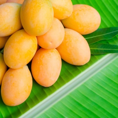 Frutos amarelos ovais sobre folha verde grande e nervurada