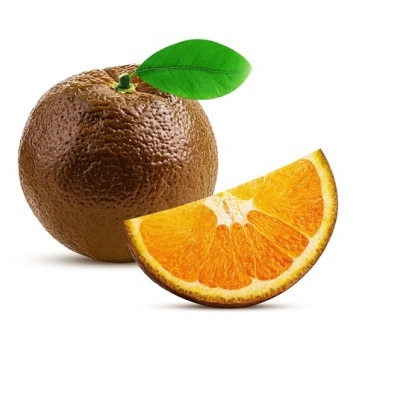 https://www.treepical.pt/product/laranjeira-chocolate
