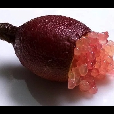 Fruto vermelho com esferas rosadas translúcidas espalhadas