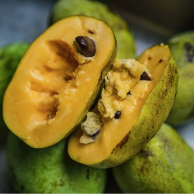 https://www.treepical.pt/product/paw-paw-overleese