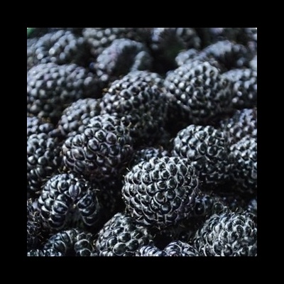 Amoras pretas agrupadas com textura brilhante