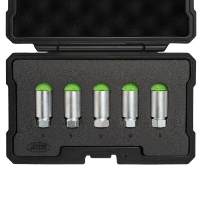 Conjunto de cinco escovas metálicas com topo verde em estojo preto