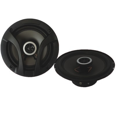 Dois altifalantes automóvel pretos com detalhes brancos