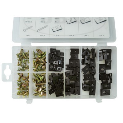 Estojo transparente com parafusos dourados e peças pretas organizados em divisórias