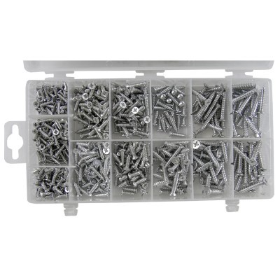 Caixa transparente com parafusos metálicos prateados organizados por compartimentos
