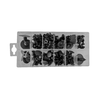 Caixa transparente com parafusos e presilhas de plástico preto