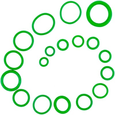 Anéis vedadores verdes de vários tamanhos em fundo branco