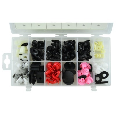 Kit de clips e grampos de nylon coloridos em caixa plástica